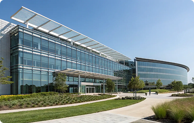 Unlock your potential with a business coach’s professional guidance & expertise